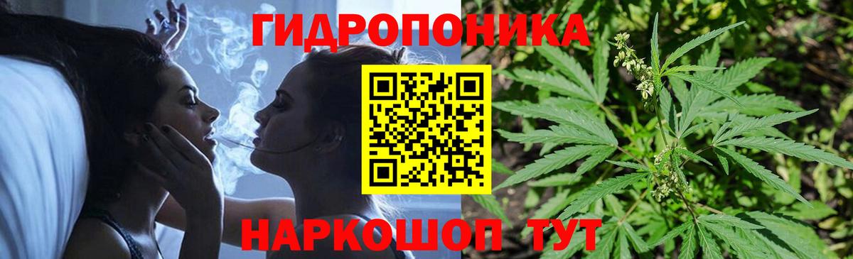 Жуковский  Каннабис Bruce Banner  Канабис план  Вход с VPN  Конопля марихуана 